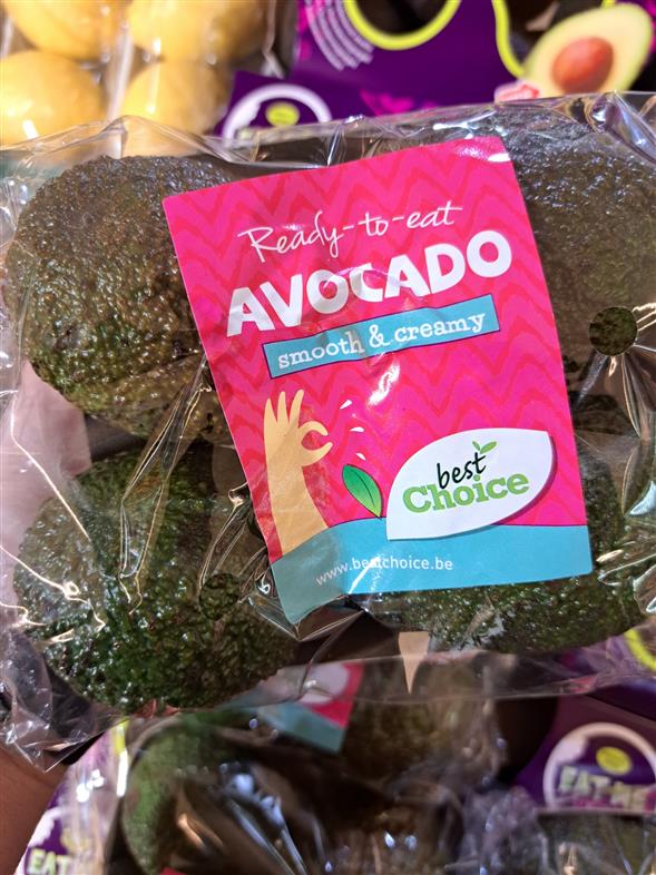 Avocado